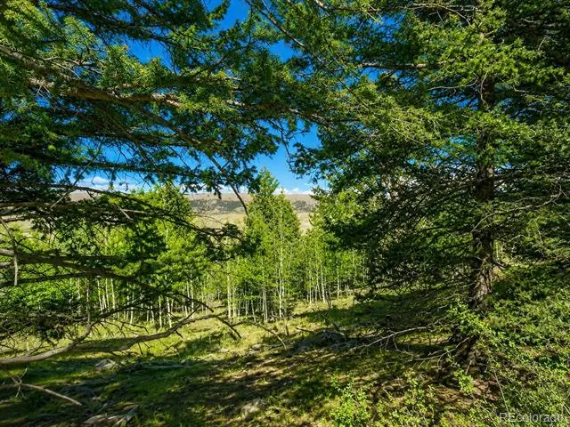 2381 Redhill Road Fairplay, CO 80440