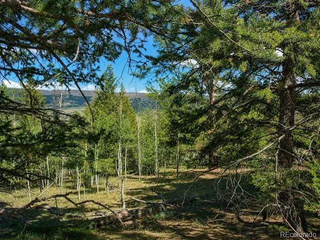 2381 Redhill Road Fairplay, CO 80440