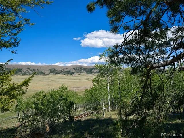2381 Redhill Road Fairplay, CO 80440