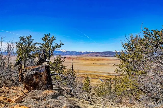 4765 Middle Fork Vista Fairplay, CO 80440