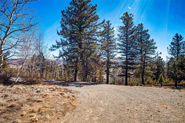 4765 Middle Fork Vista Fairplay, CO 80440