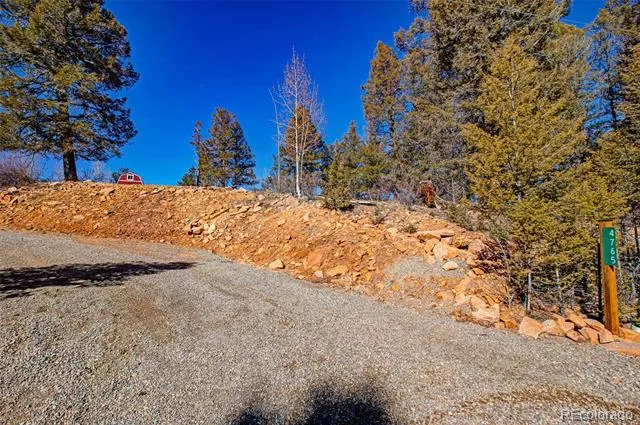 4765 Middle Fork Vista Fairplay, CO 80440