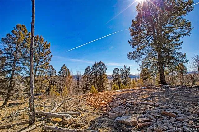 4765 Middle Fork Vista Fairplay, CO 80440