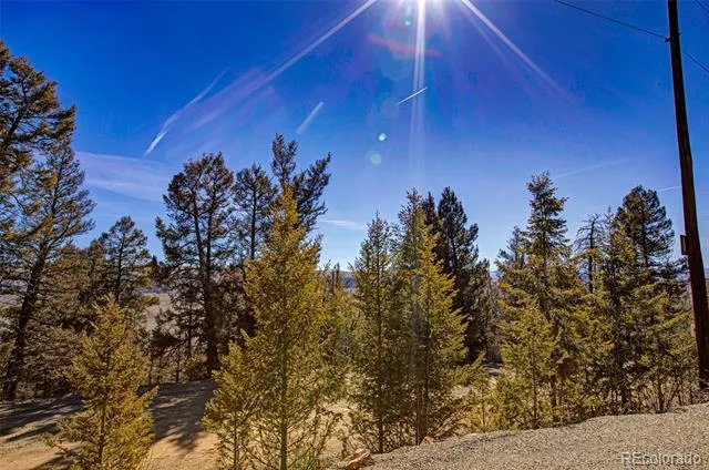 4765 Middle Fork Vista Fairplay, CO 80440