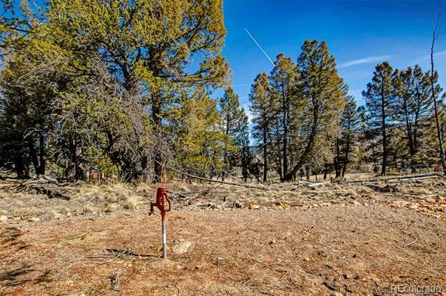 4765 Middle Fork Vista Fairplay, CO 80440