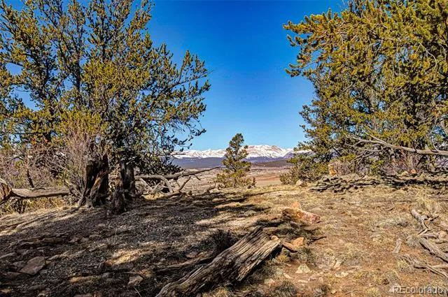 4765 Middle Fork Vista Fairplay, CO 80440