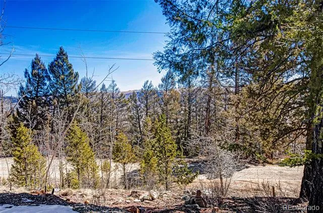 4765 Middle Fork Vista Fairplay, CO 80440