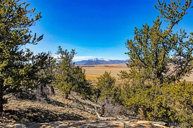 4765 Middle Fork Vista Fairplay, CO 80440