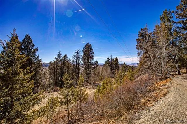4765 Middle Fork Vista Fairplay, CO 80440