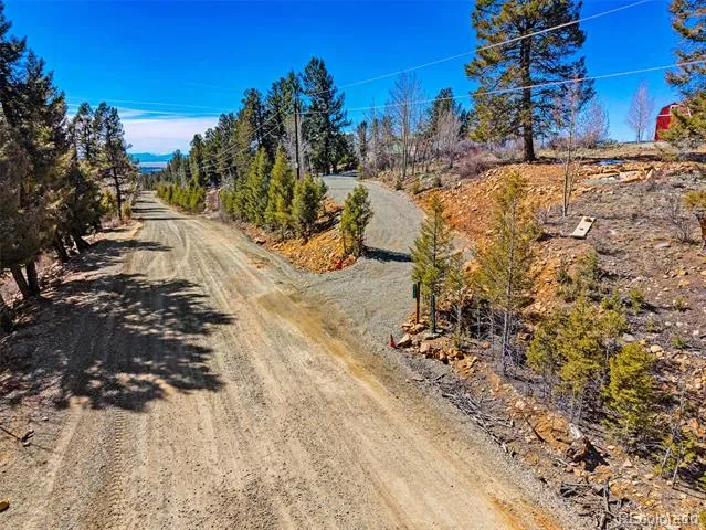 4765 Middle Fork Vista Fairplay, CO 80440