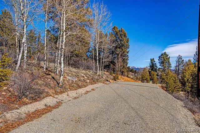 4765 Middle Fork Vista Fairplay, CO 80440