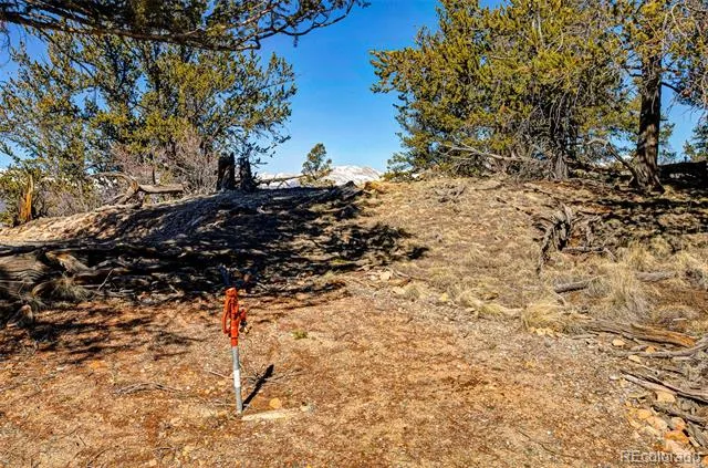 4765 Middle Fork Vista Fairplay, CO 80440