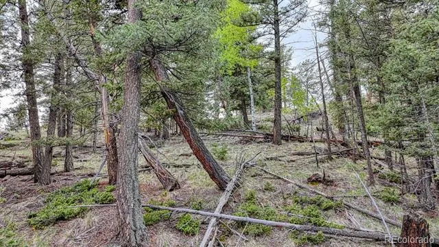 918 Pinon Lane Florissant, CO 80816