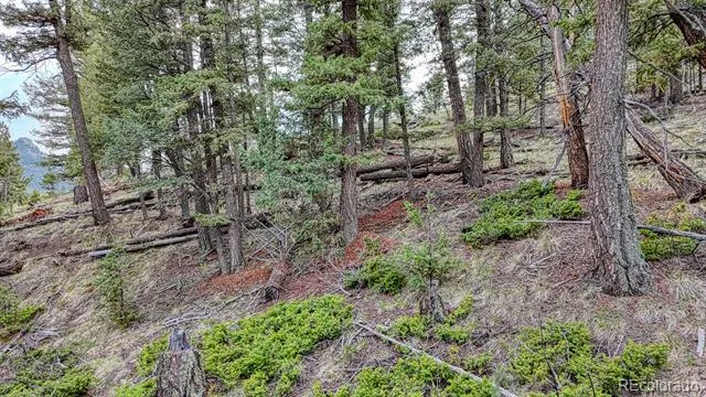 918 Pinon Lane Florissant, CO 80816