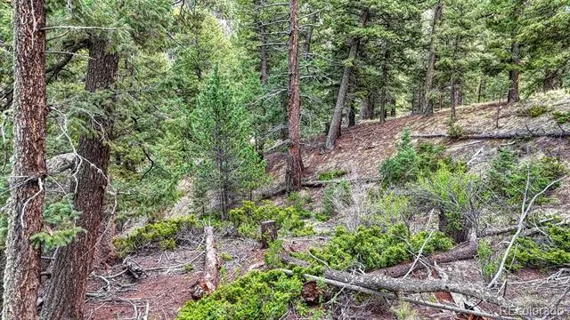 918 Pinon Lane Florissant, CO 80816