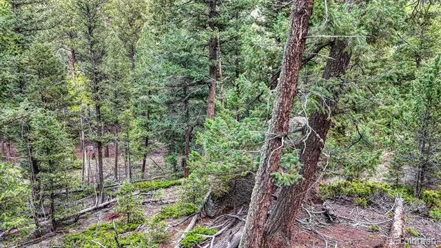 918 Pinon Lane Florissant, CO 80816