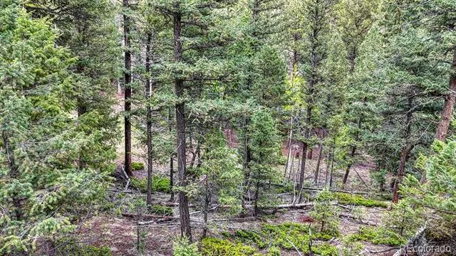 918 Pinon Lane Florissant, CO 80816