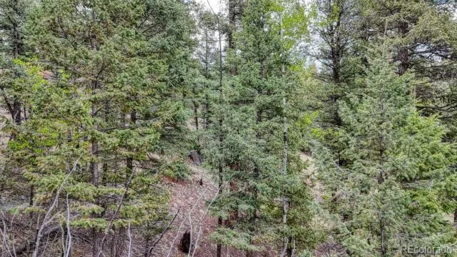 918 Pinon Lane Florissant, CO 80816