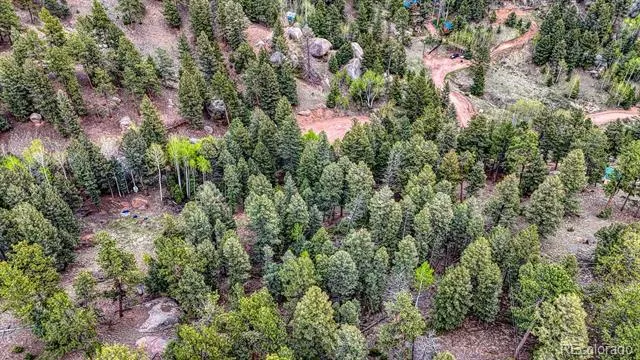 918 Pinon Lane Florissant, CO 80816