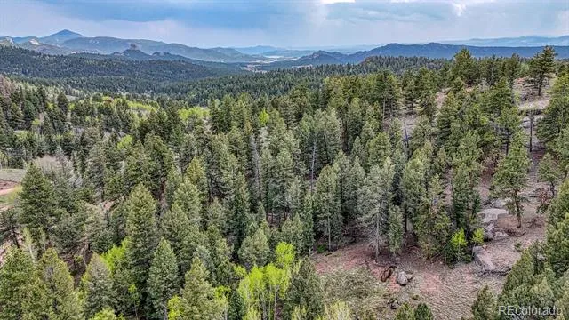 918 Pinon Lane Florissant, CO 80816