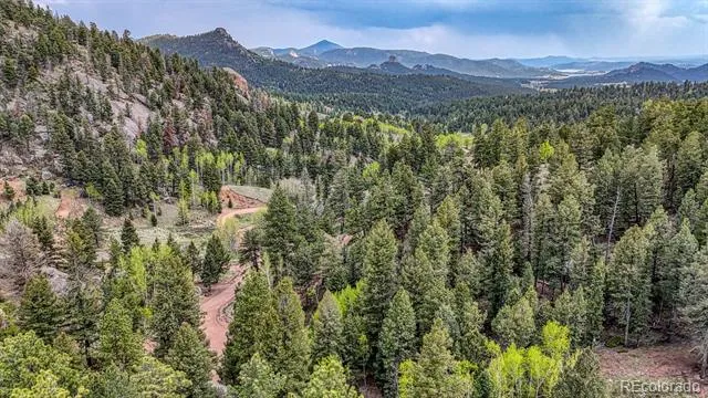 918 Pinon Lane Florissant, CO 80816