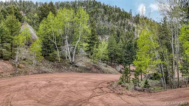 918 Pinon Lane Florissant, CO 80816