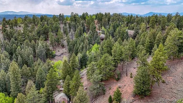 918 Pinon Lane Florissant, CO 80816