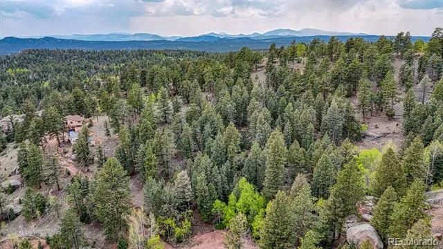 918 Pinon Lane Florissant, CO 80816
