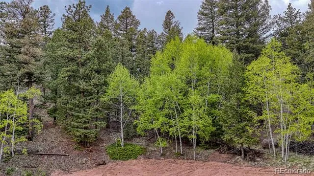 918 Pinon Lane Florissant, CO 80816