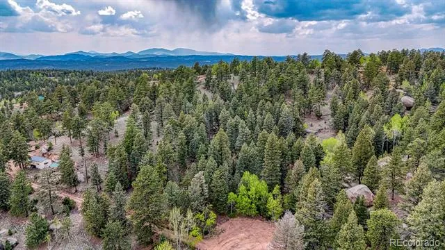 918 Pinon Lane Florissant, CO 80816