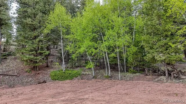 918 Pinon Lane Florissant, CO 80816