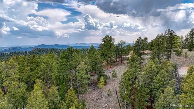 918 Pinon Lane Florissant, CO 80816