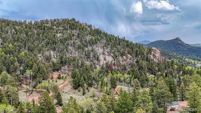 918 Pinon Lane Florissant, CO 80816