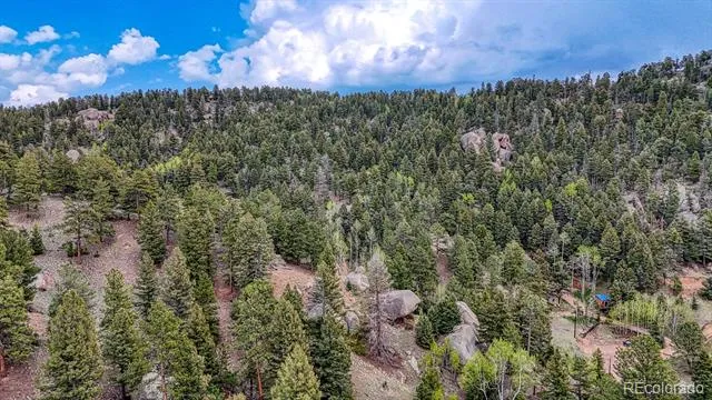 918 Pinon Lane Florissant, CO 80816