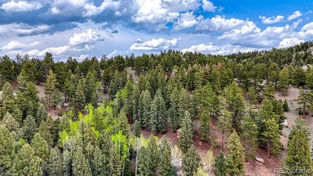 918 Pinon Lane Florissant, CO 80816