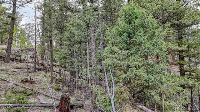 918 Pinon Lane Florissant, CO 80816