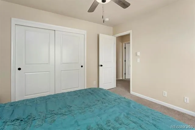 10433 Mesa View Court Poncha Springs, CO 81242