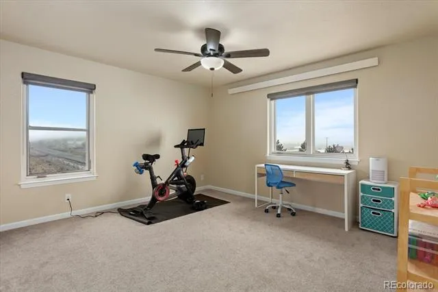10433 Mesa View Court Poncha Springs, CO 81242