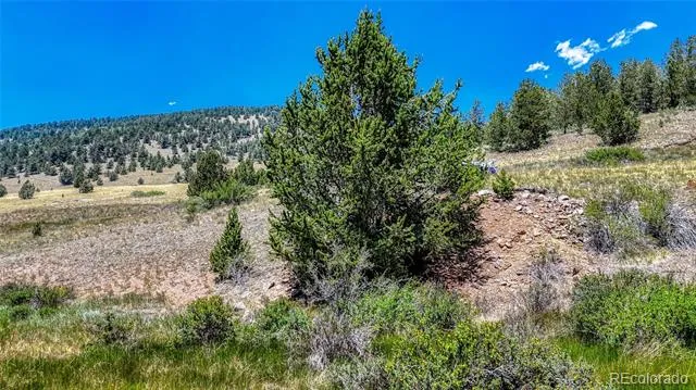 State HWY 67 Cripple Creek, CO 80813