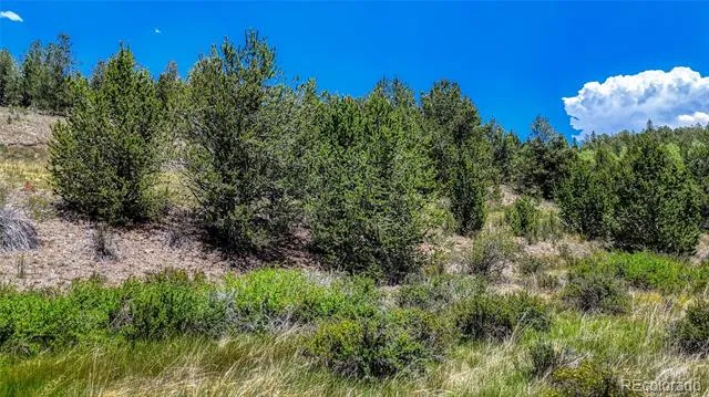 State HWY 67 Cripple Creek, CO 80813