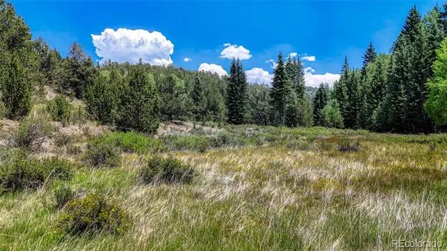 State HWY 67 Cripple Creek, CO 80813
