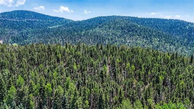 State HWY 67 Cripple Creek, CO 80813