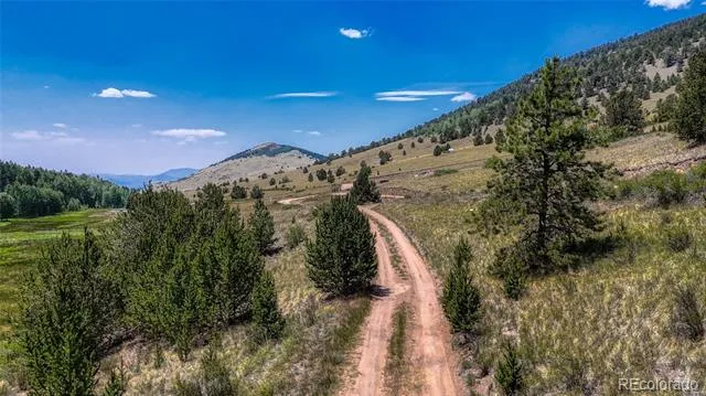 State HWY 67 Cripple Creek, CO 80813