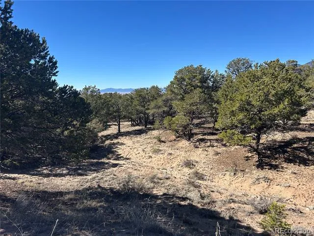 626 Panorama Way Crestone, CO 81131