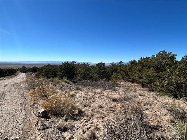 626 Panorama Way Crestone, CO 81131