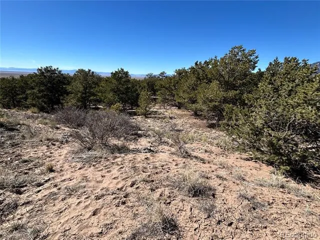 626 Panorama Way Crestone, CO 81131