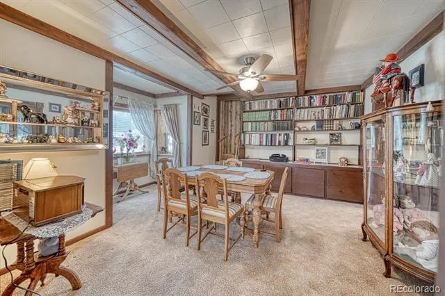 646 C STREET Salida, CO 81201