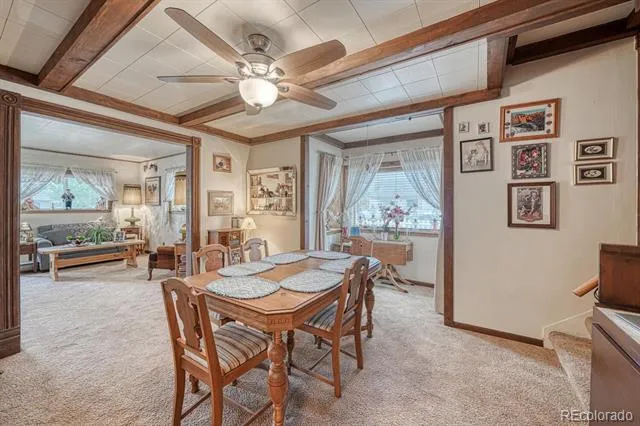 646 C STREET Salida, CO 81201