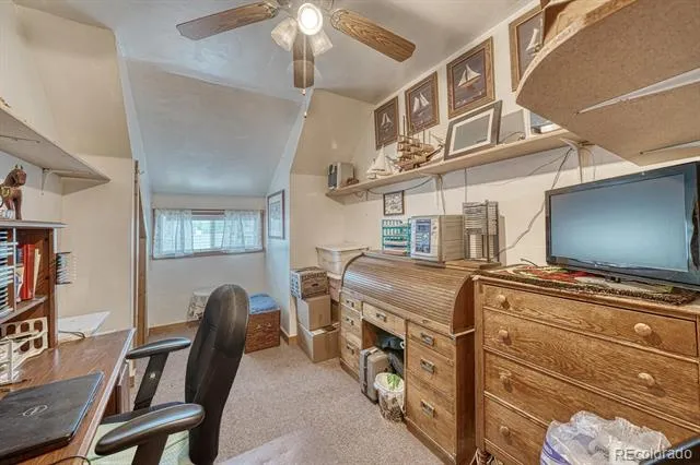 646 C STREET Salida, CO 81201