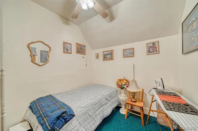 646 C STREET Salida, CO 81201